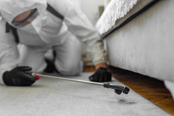 Professional Bed Bug Control technician working in St. Francis County County, AR